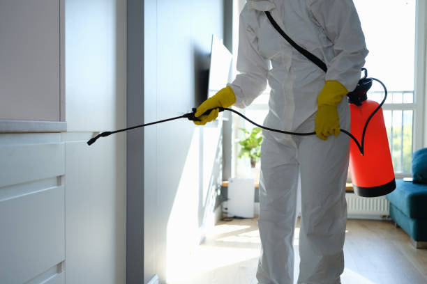 Best Mold Odor Removal Services  in Butler, MO